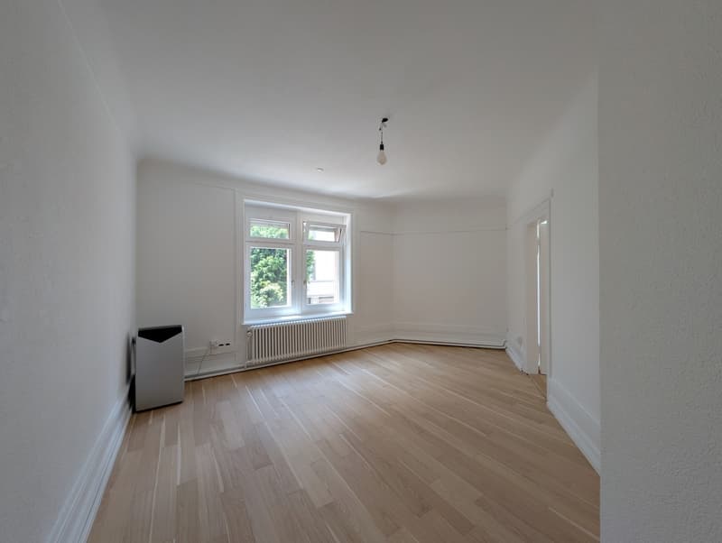 Neu renovierte und wunderschöne 4.5-Zimmer-Wohnung, im Herzen von Zürich (2)