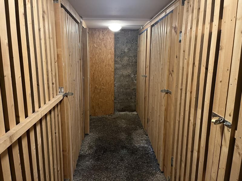 Einzigartiger Wohnkomfort: Klimatisierte 3.5-Zimmer-Wohnungen & Atelier in Roggwil ab sofort bezugsbereit! (9)