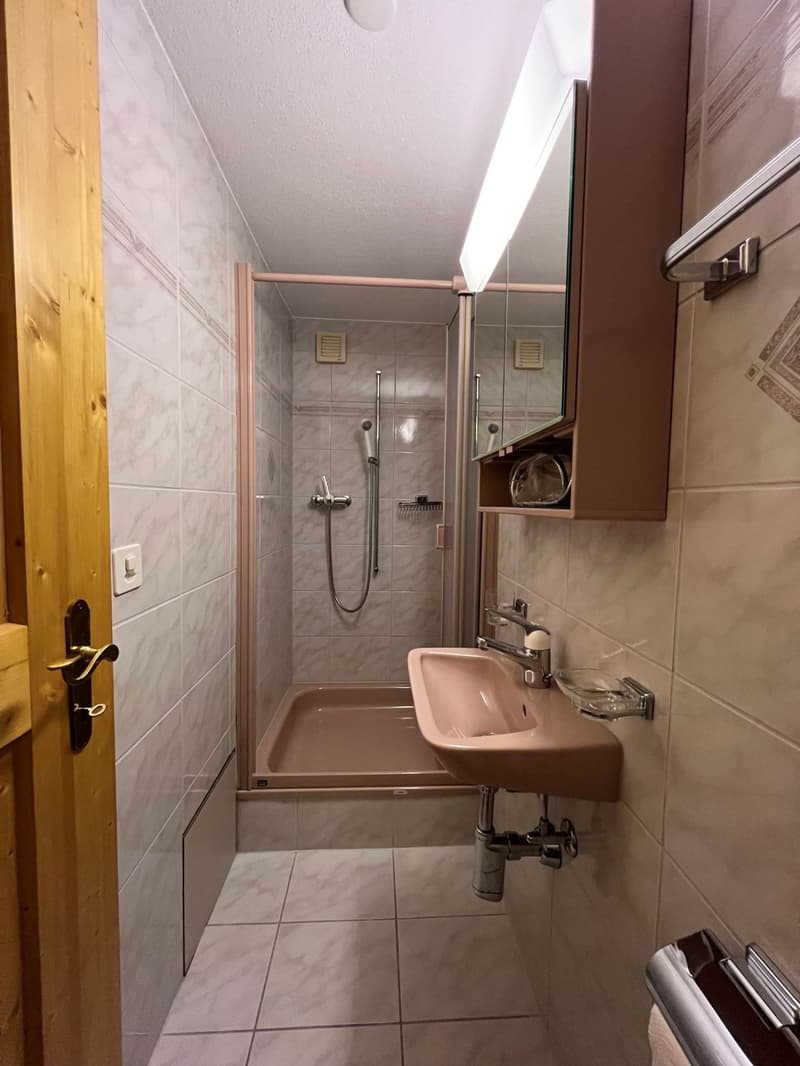 Grosszügige Wohnung in Steckborn mit Balkon, Kamin und Parkplatz in See Nähe (8)