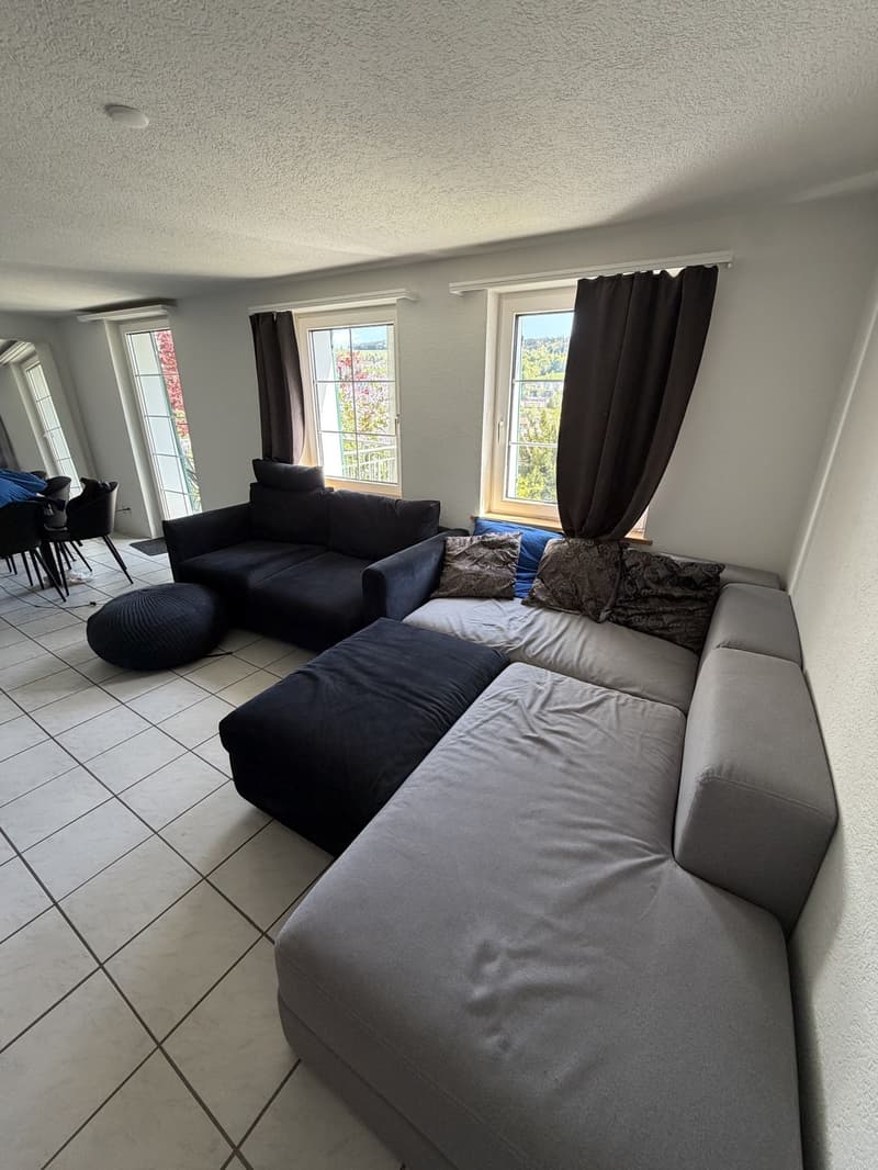 Fully furnished 3.5-room apartment (10)