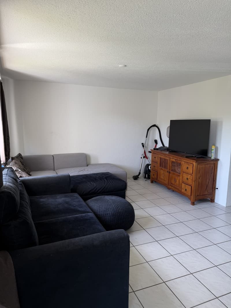 Fully furnished 3.5-room apartment (9)