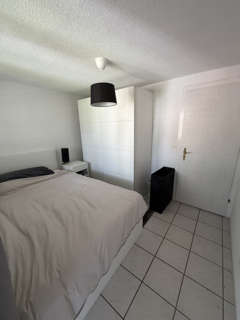 Fully furnished 3.5-room apartment (5)
