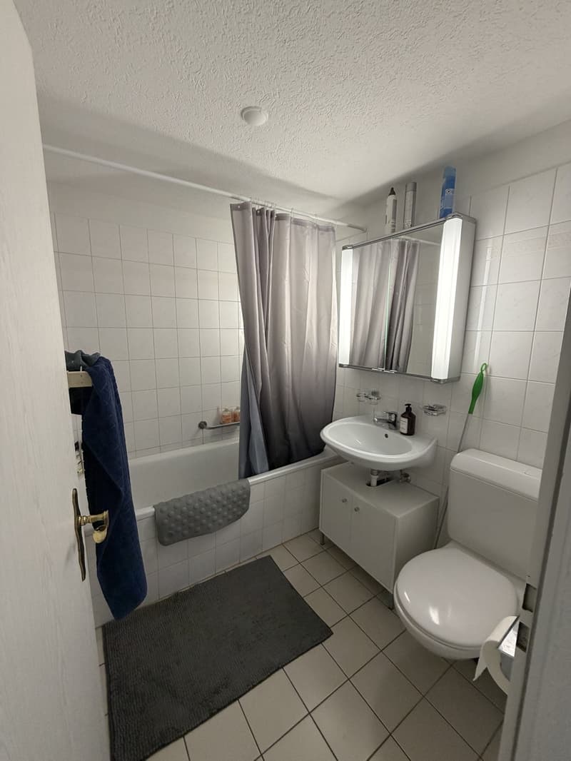 Fully furnished 3.5-room apartment (7)