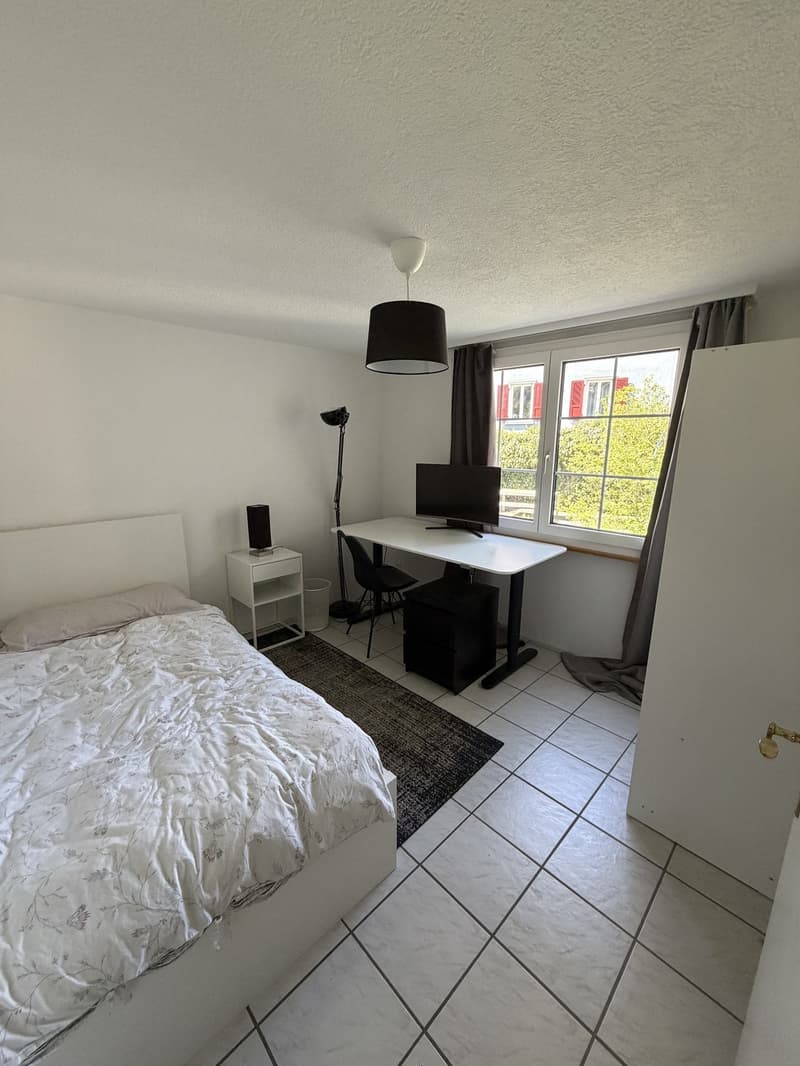 Fully furnished 3.5-room apartment (3)