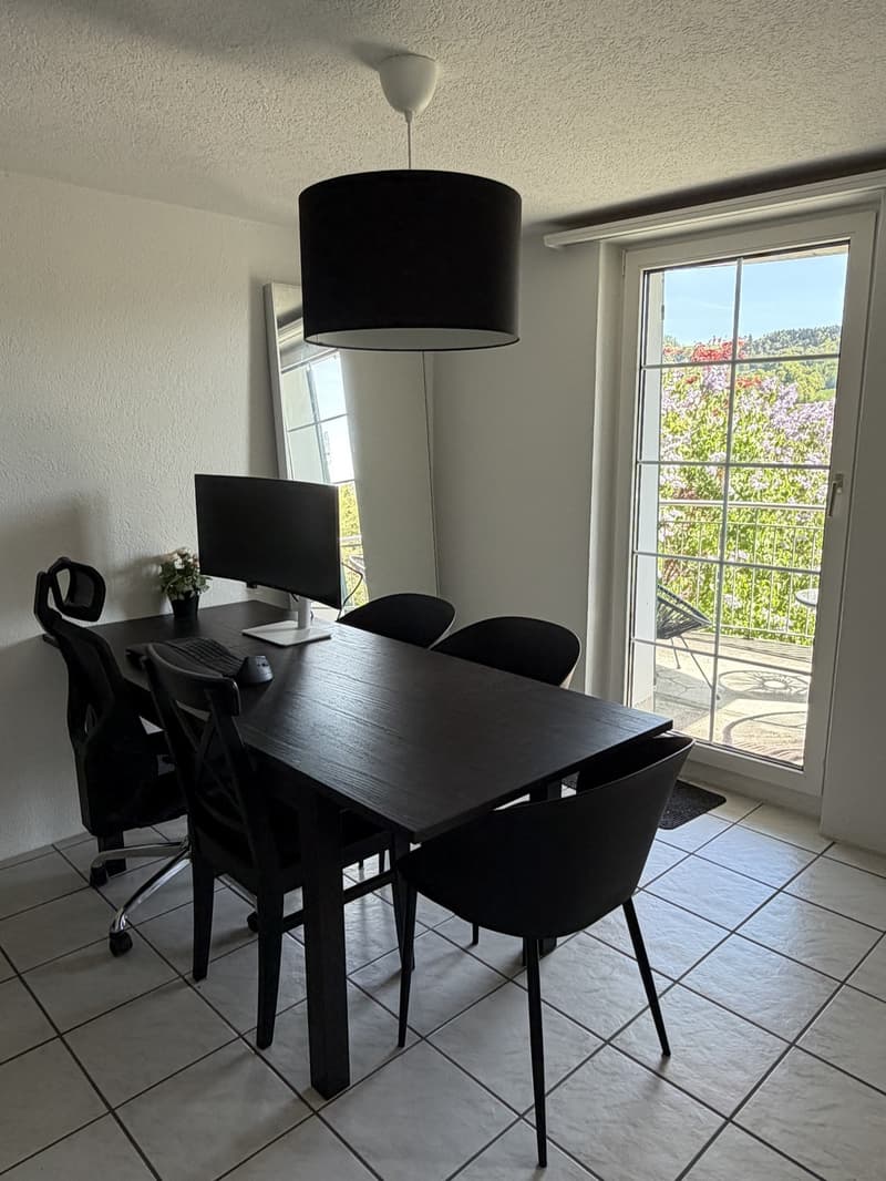 Fully furnished 3.5-room apartment (8)