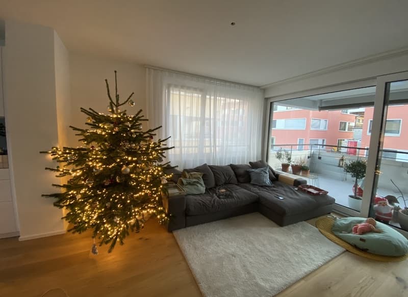 Neuwertige, Zentrale 4.5 Zi. Wohnung mit Aussicht nahe Kantonsspital (7)