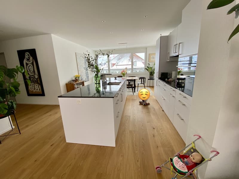 Neuwertige, Zentrale 4.5 Zi. Wohnung mit Aussicht nahe Kantonsspital (2)