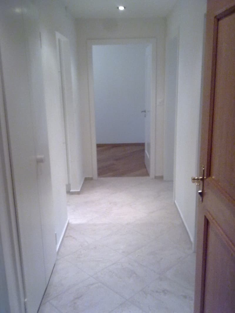 Für Kurzentschlossene! Wunderschöne 3-Zimmerwohnung, sehr zentral (3)