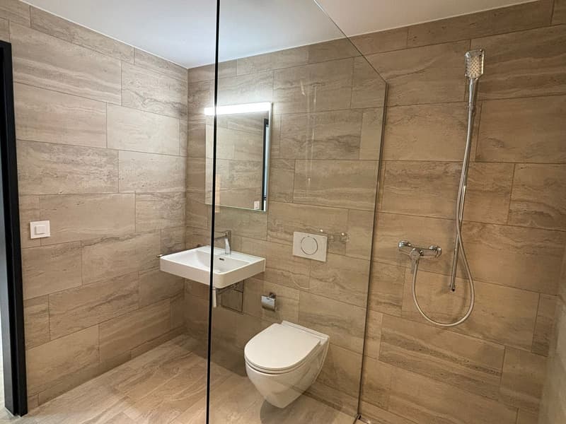 3.5-Zimmerwohnung modern, hell und stilvoll in Mülligen (10)