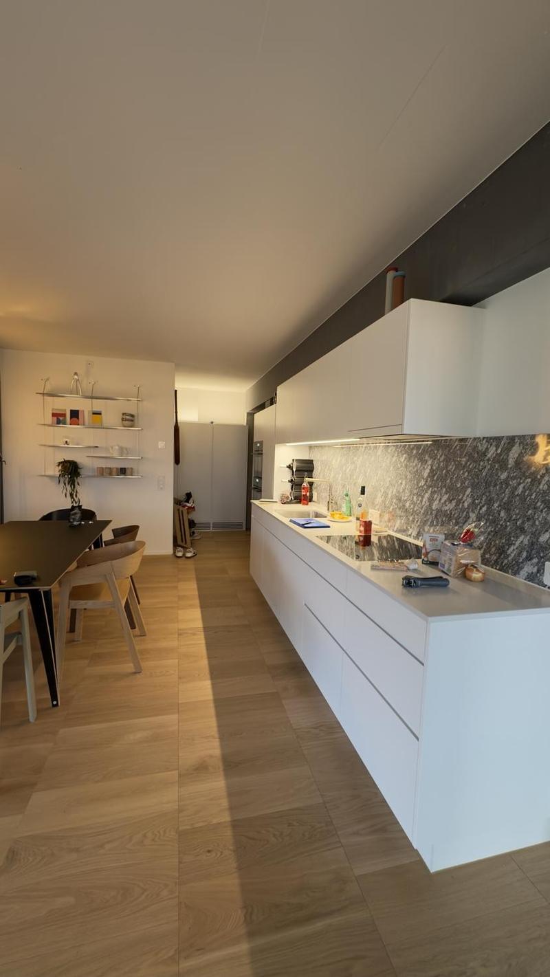 High-Floor 2.5-Room Apartment, open views to the City and Uetliberg (3)
