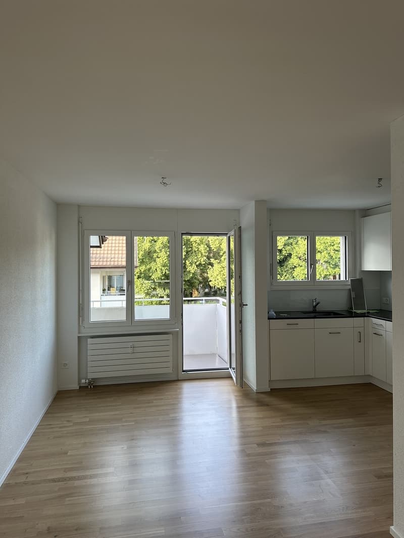 3.5 Zimmer Wohnung (2)