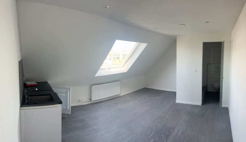 Charmantes Dachstudio im Altbau Freihofstrasse, Zürich 8048 (1)