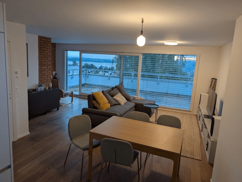 Large 2.5-Room Apartment in Zug Terrace, Fireplace, Storage (1)