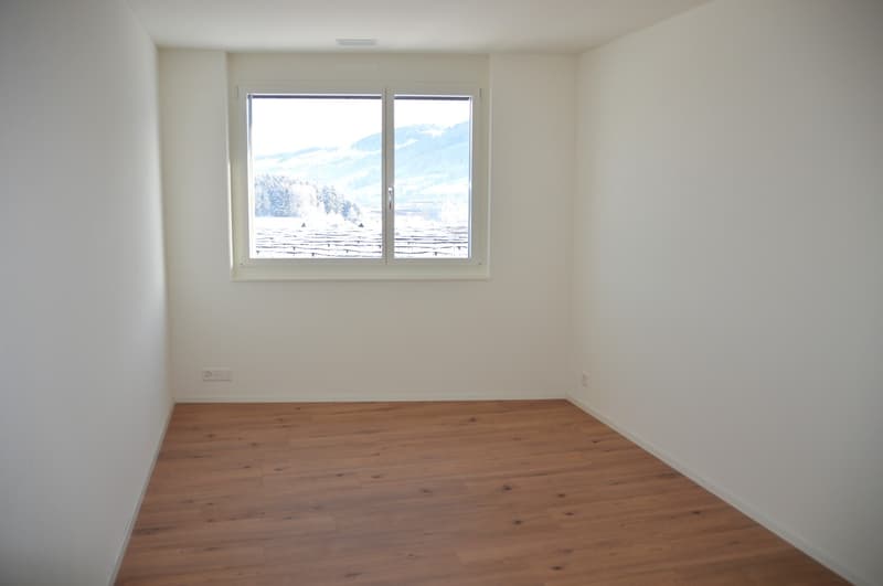 Im Eigentumsstandart, neuere - 4 1/2 Zimmer Wohnung! (7)