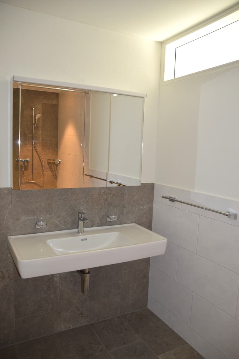 Im Eigentumsstandart, neuere - 4 1/2 Zimmer Wohnung! (5)