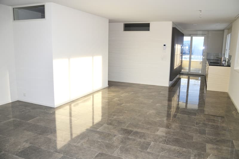 Im Eigentumsstandart, neuere - 4 1/2 Zimmer Wohnung! (3)
