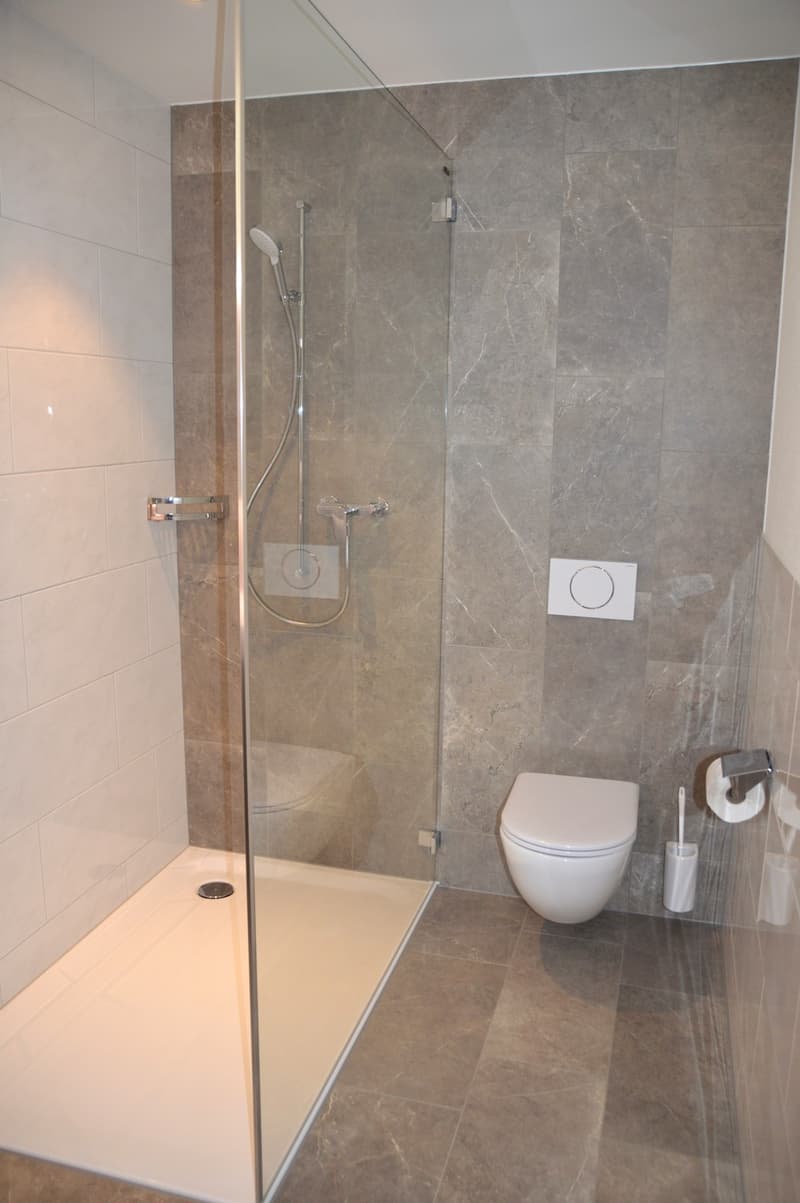 Im Eigentumsstandart, neuere - 4 1/2 Zimmer Wohnung! (6)