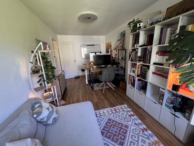 3.5 rooms apartment in Wiedikon (8)