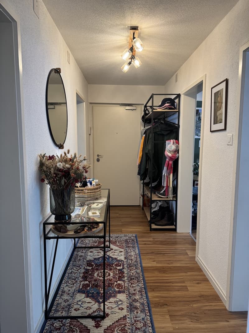 3.5 rooms apartment in Wiedikon (12)