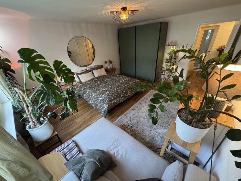 3.5 rooms apartment in Wiedikon (5)