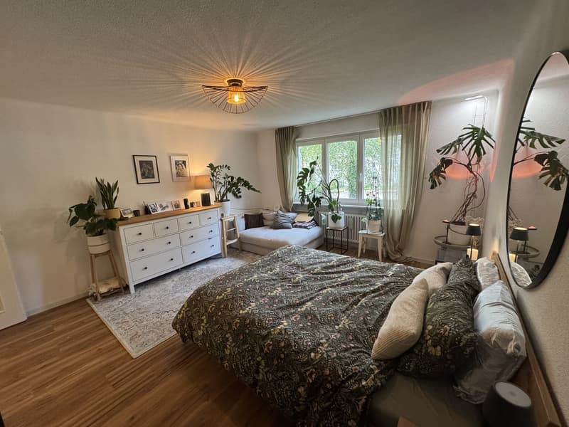 3.5 rooms apartment in Wiedikon (6)