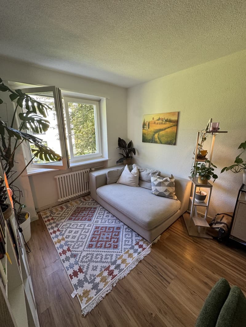 3.5 rooms apartment in Wiedikon (9)