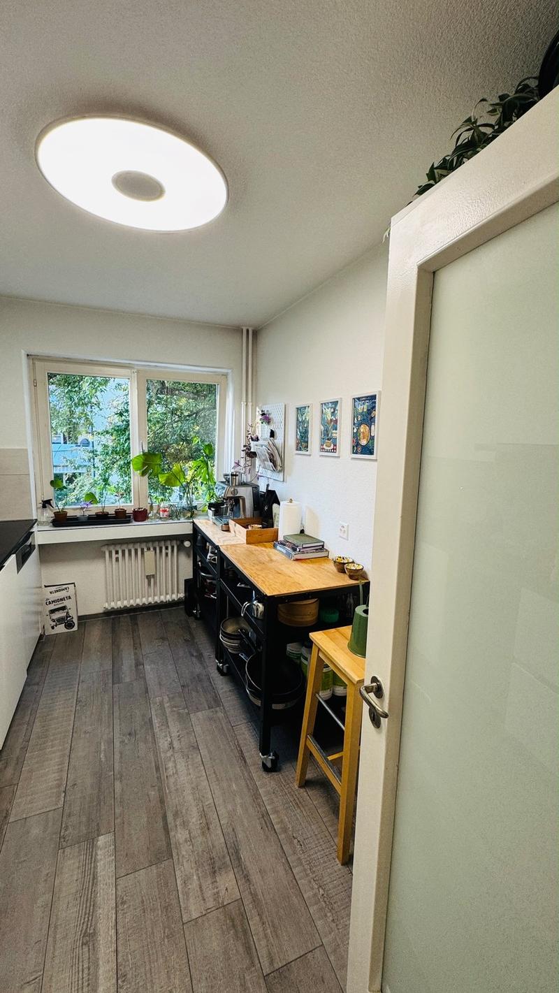 3.5 rooms apartment in Wiedikon (10)