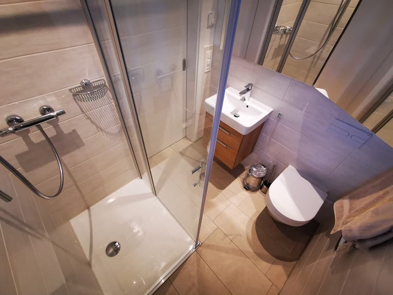 Neuwertiges, möbliertes, Studio mit 20m2 Terrasse (13)
