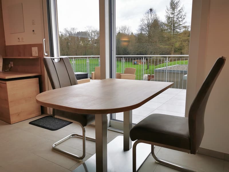 Neuwertiges, möbliertes, Studio mit 20m2 Terrasse (10)