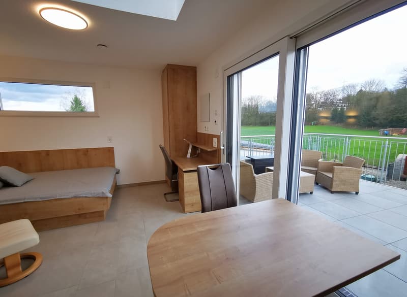 Neuwertiges, möbliertes, Studio mit 20m2 Terrasse (1)
