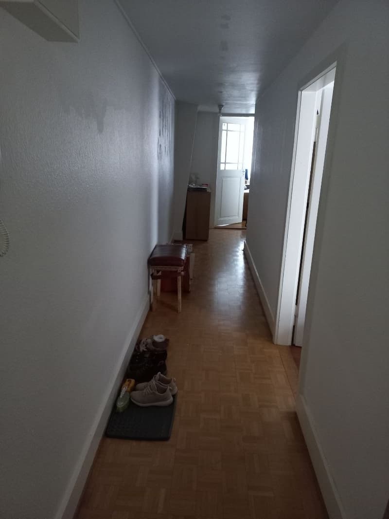 Schöne 2.5-Zimmerwohnung an zentraler Lage in Liestal (5)