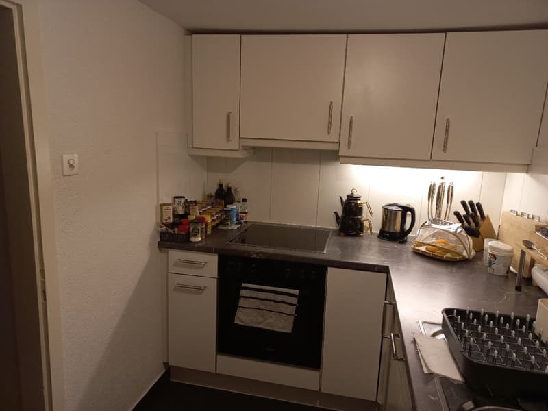 Schöne 2.5-Zimmerwohnung an zentraler Lage in Liestal (7)