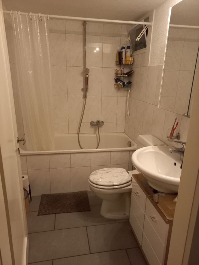 Schöne 2.5-Zimmerwohnung an zentraler Lage in Liestal (6)