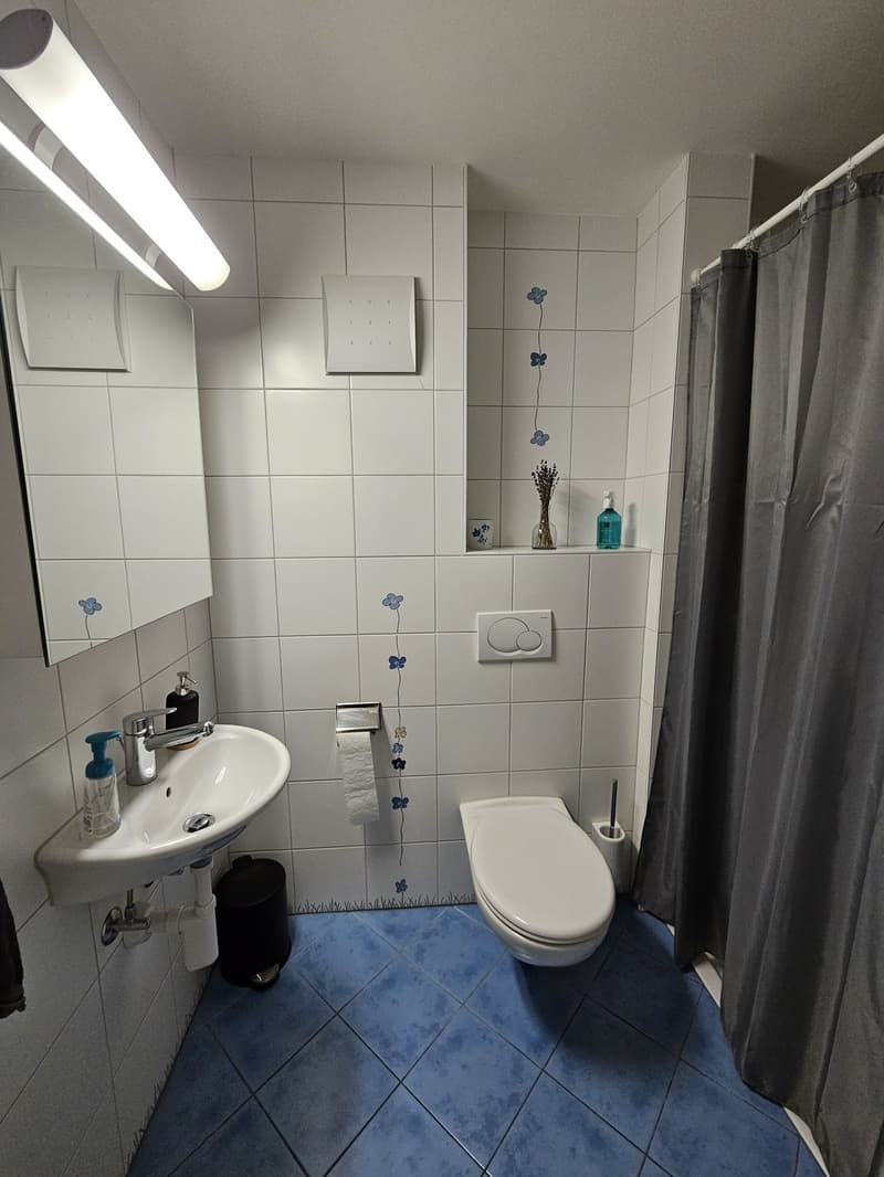 Helle 4.5-Zimmerwohnung mit grossem Balkon und Lift in Hölstein BL (10)