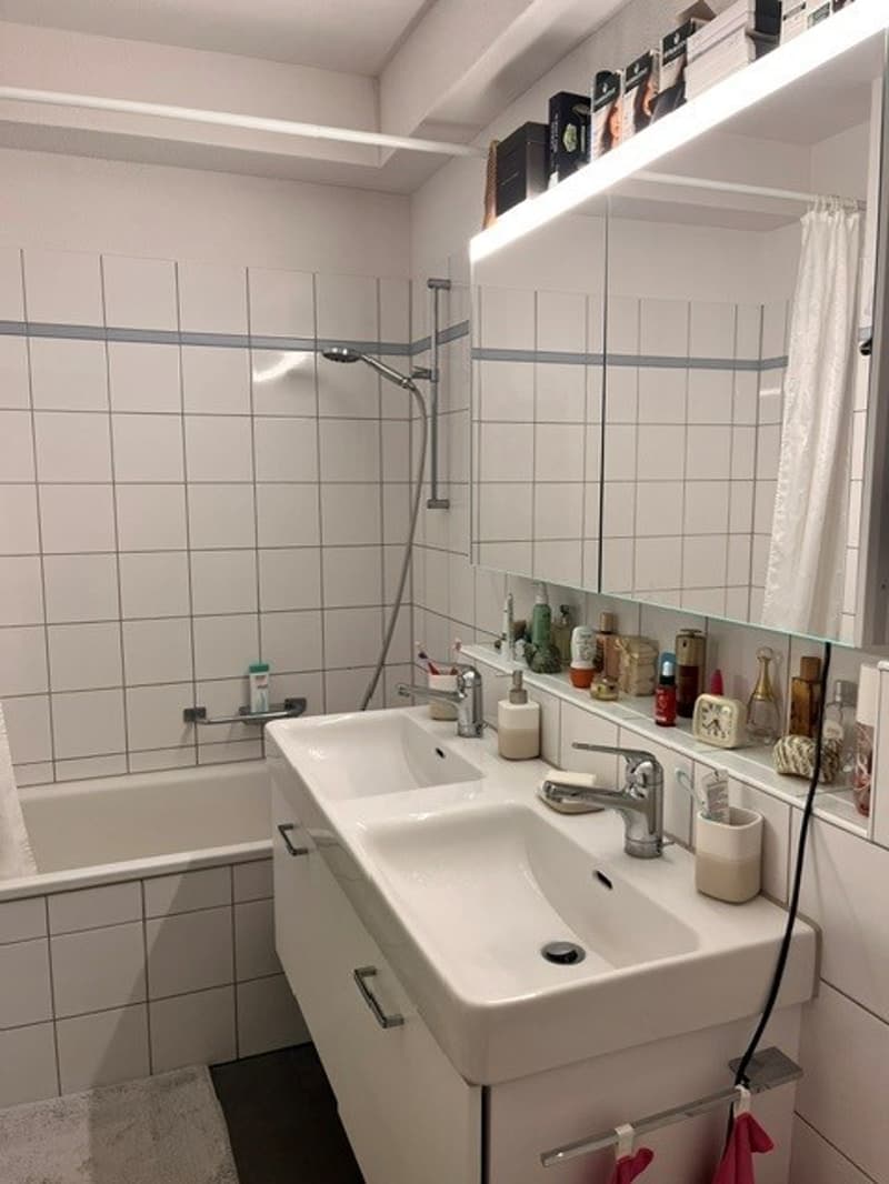 Traumhafte, zweistöckige Attikawohnung mit Seesicht (5)