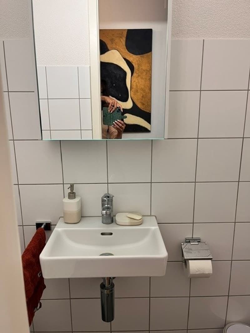 Traumhafte, zweistöckige Attikawohnung mit Seesicht (6)