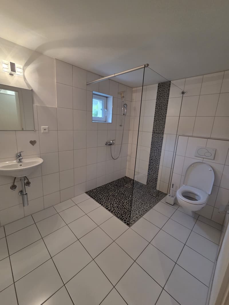 Einzigartige 3 Zimmer Loftwohnung mit Wintergarten & Garten (13)