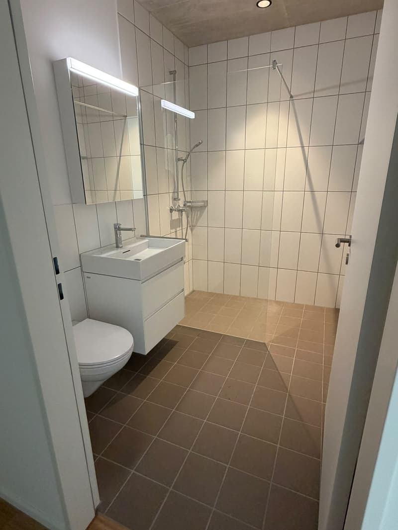2 ½ Zimmer-Wohnung, 8964 Rufolfstetten (3)