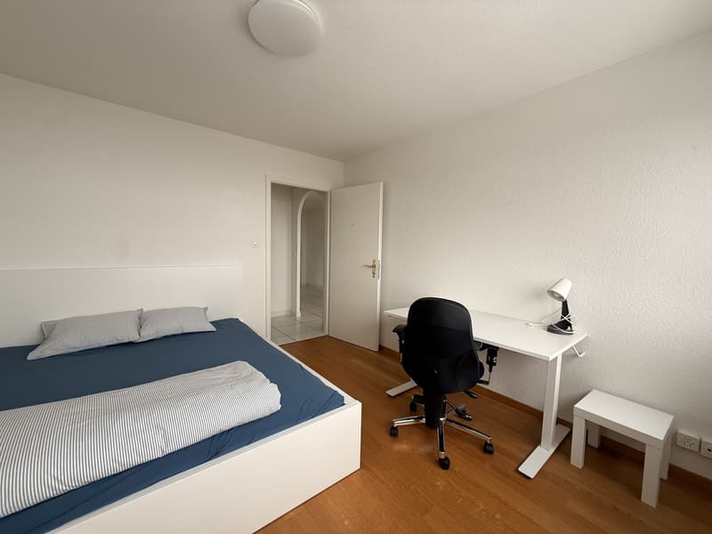 Cozy room in Zurich City (6)