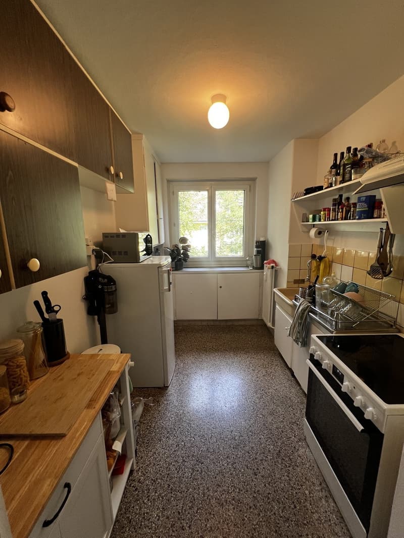 Nachmieter in grosser 3 Zimmerwohnung gesucht (6)