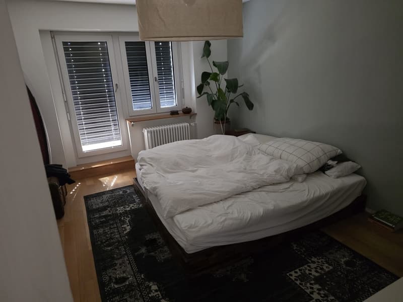 13.Juli bis 10. August - Zwischenmiete in Trendquartier Wiedikon (2)