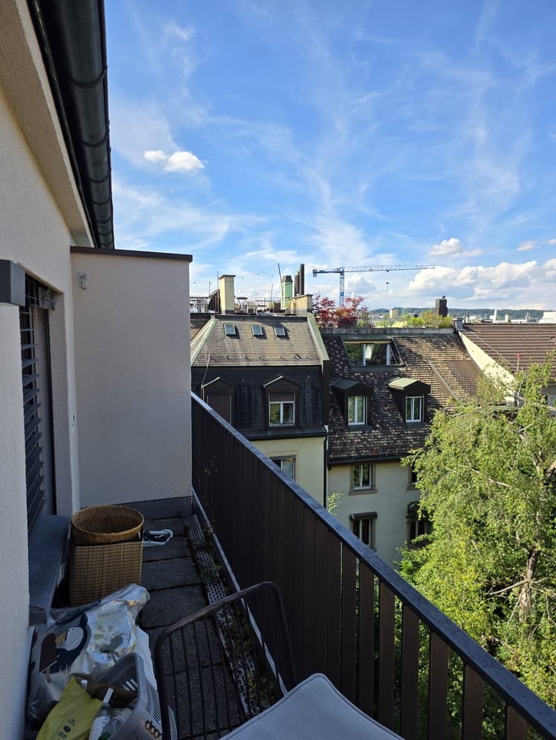 13.Juli bis 10. August - Zwischenmiete in Trendquartier Wiedikon (12)