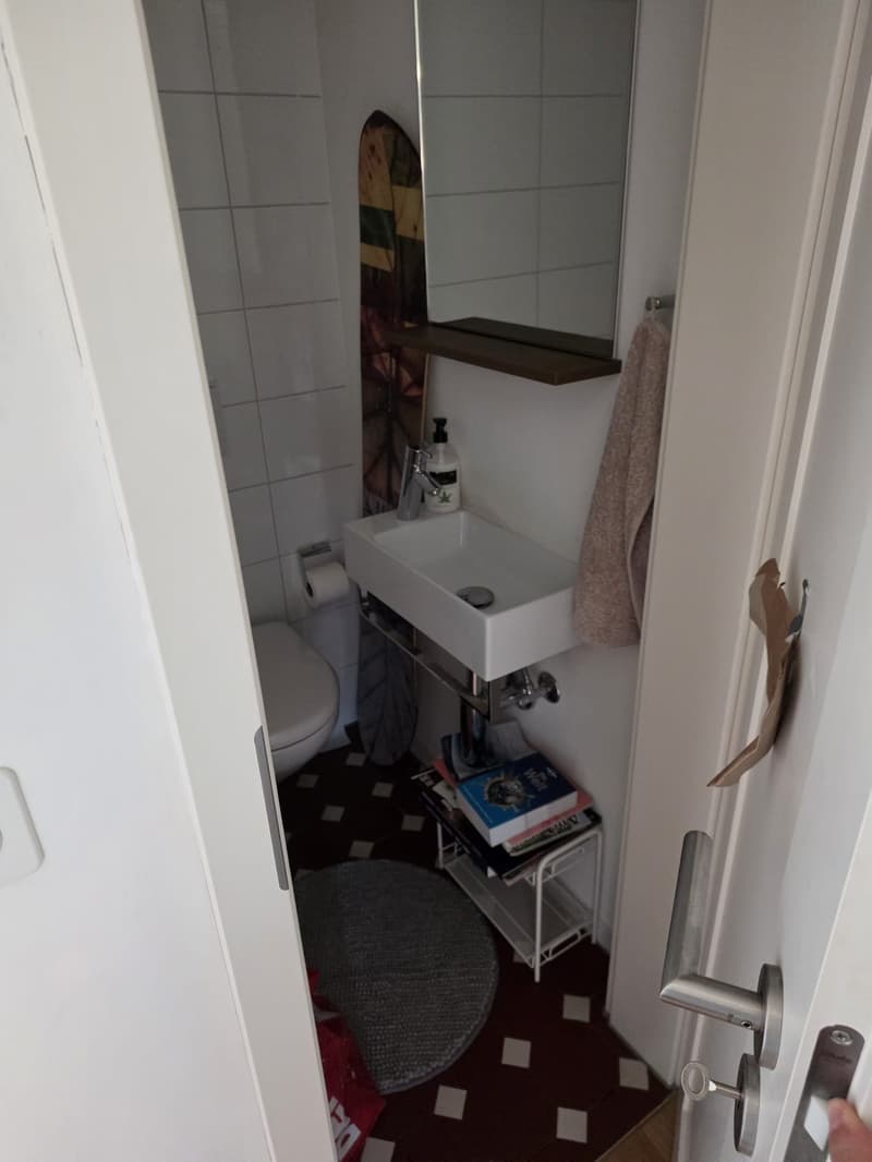 13.Juli bis 10. August - Zwischenmiete in Trendquartier Wiedikon (5)