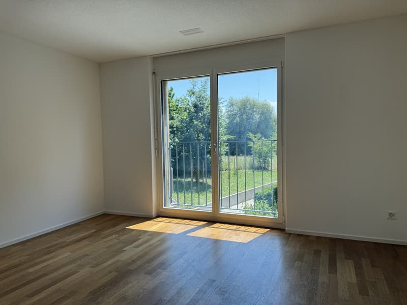 Zimmer1