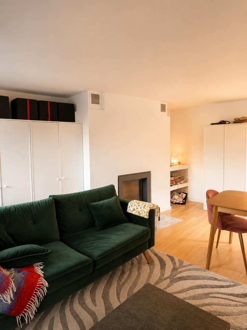 Unique Attic Duplex with Fireplace & River Views in Zurich Old Town (2)