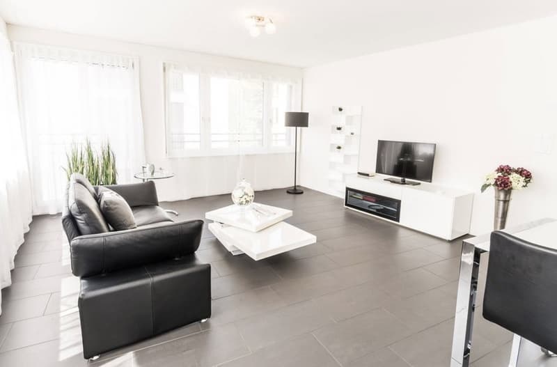 2 ½ rooms apartment, 8050 Zurich (6)