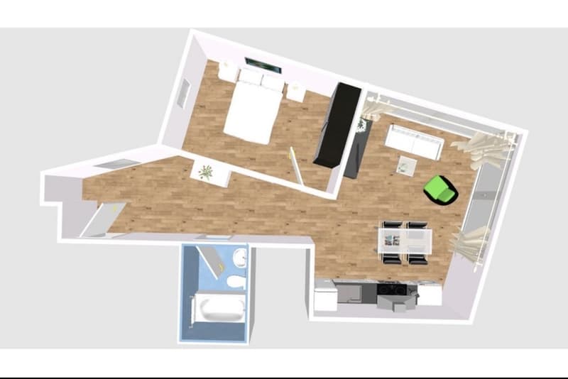 2 ½ rooms apartment, 8050 Zurich (5)