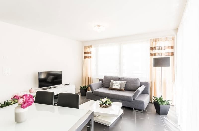 2 ½ rooms apartment, 8050 Zurich (1)