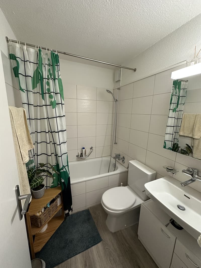 1,5-Zimmer-Wohnung gegenüber dem Bahnhof Oerlikon, 3. Stock (5)