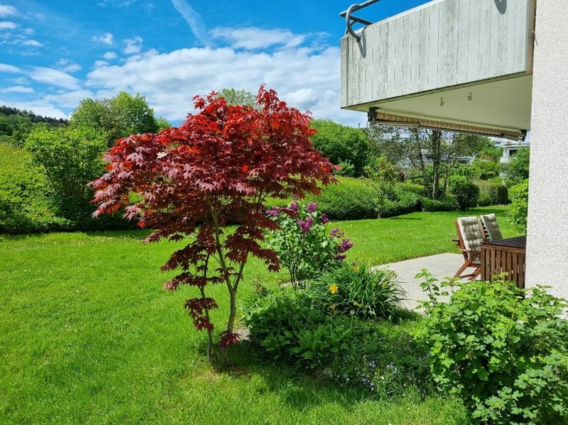 Helle 4.5-Zimmer-Wohnung inkl. 2 Garagenplätzen, Hobbyraum und Garten in Thalwil (13)